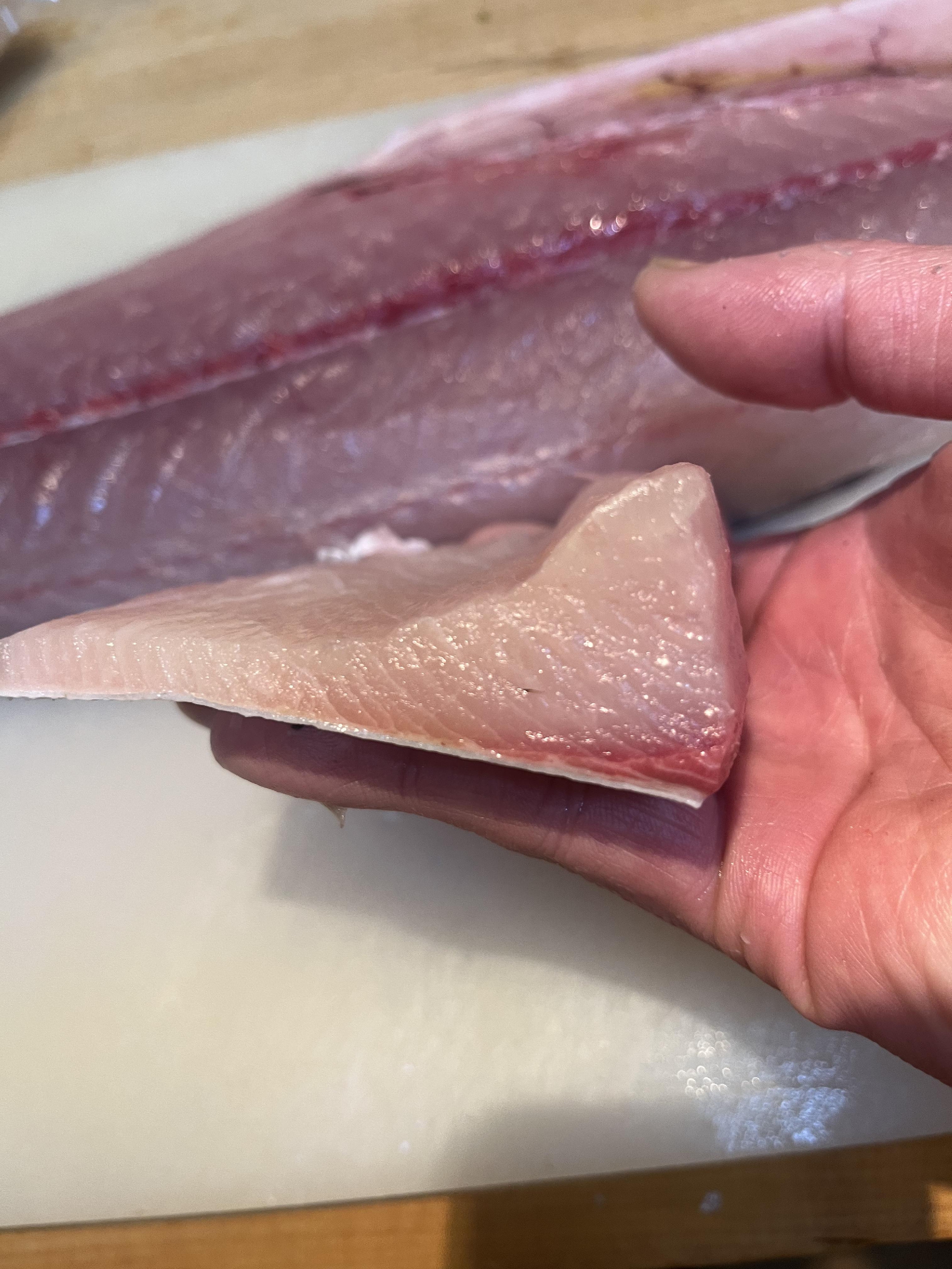 熟成魚