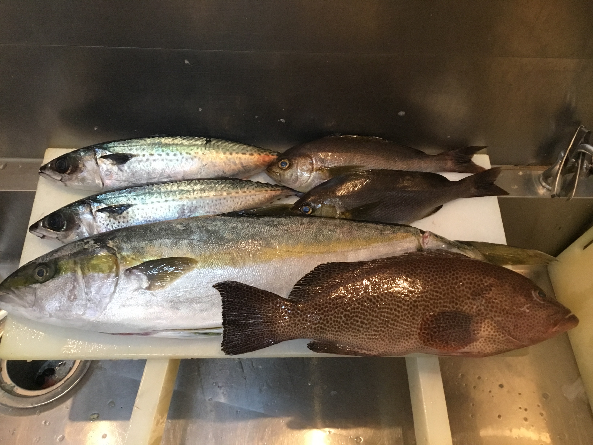 長崎 五島列島 福江島 林鮮魚店さんから魚が届きました。