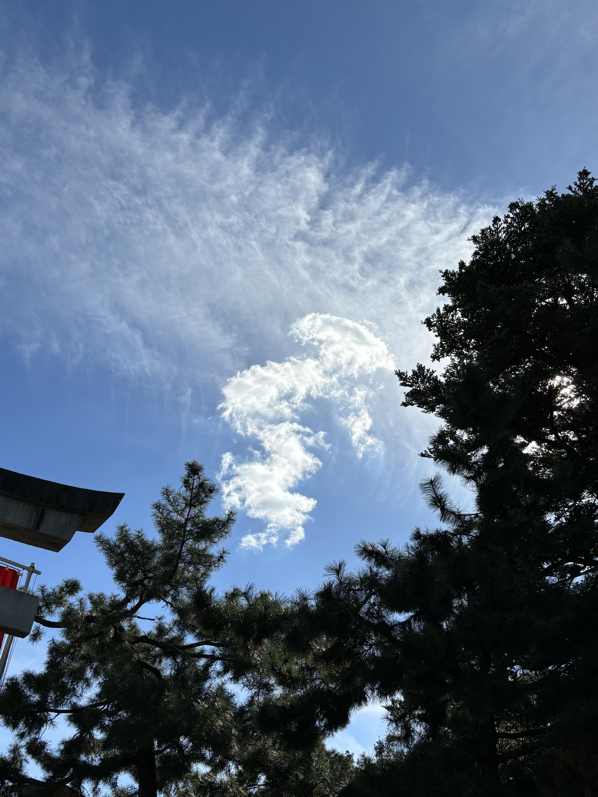 冬季休業に関しまして