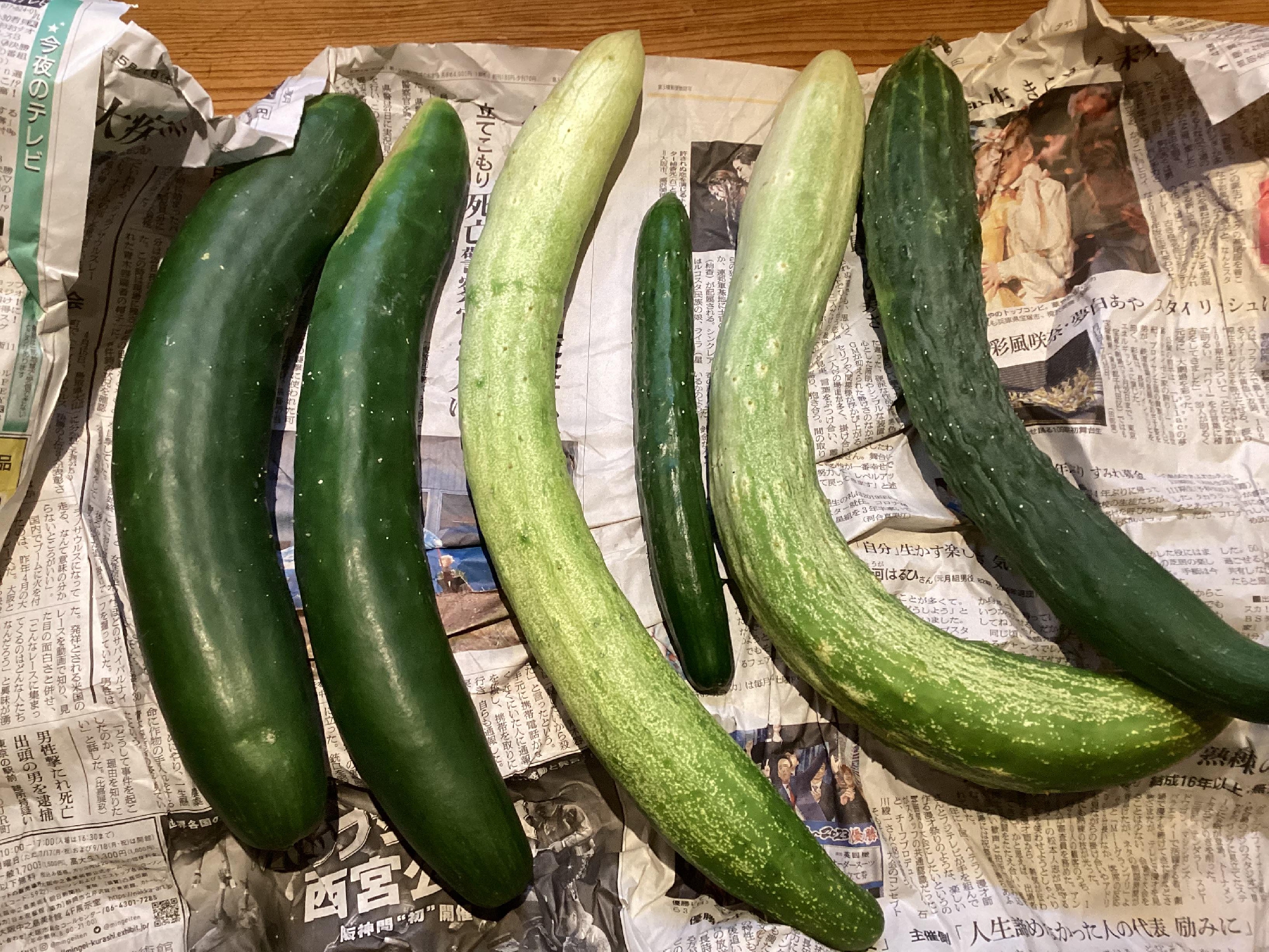 夏の京野菜